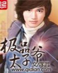 极品太子爷极品太子爷